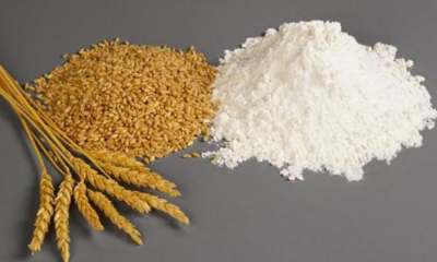 小麦碾皮制粉和常规制粉的面粉灰分